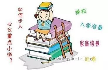 “他们”的心理诉求：从家长到“救世主”的角色转变深度剖析